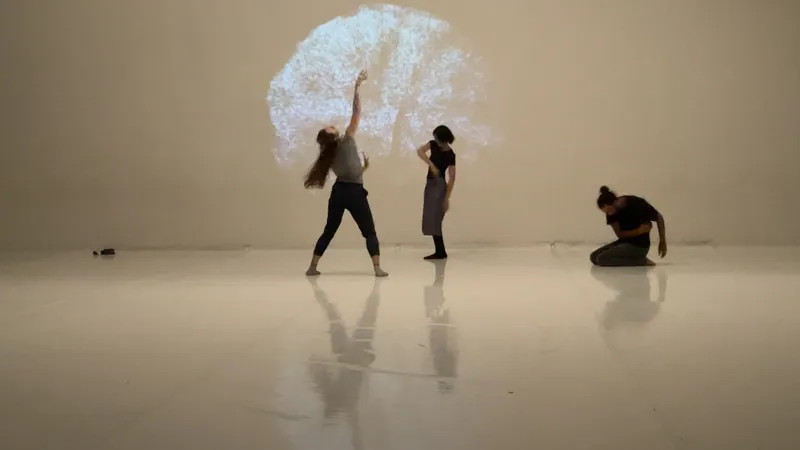 Dancers on a pale floor in front of a white feathered projection.
